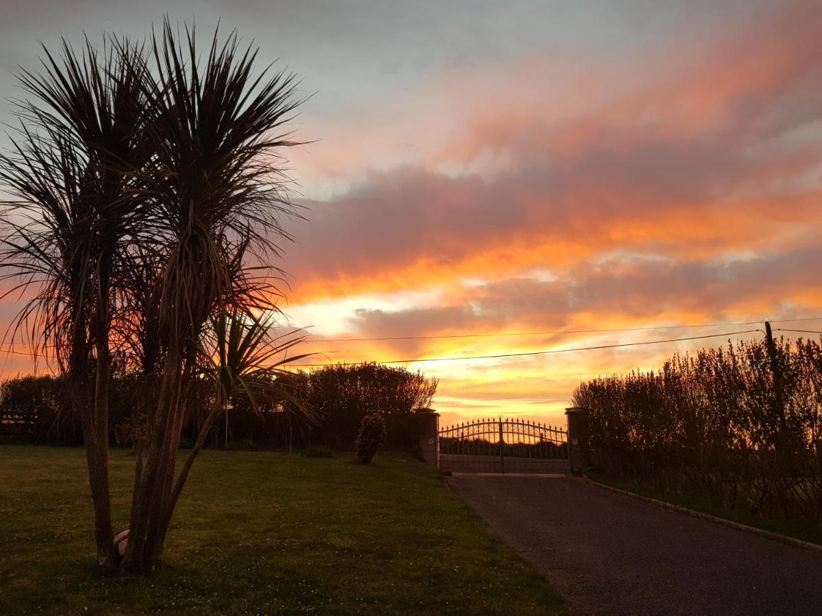 Castlemagee Sunrise View Bed & Breakfast エクステリア 写真